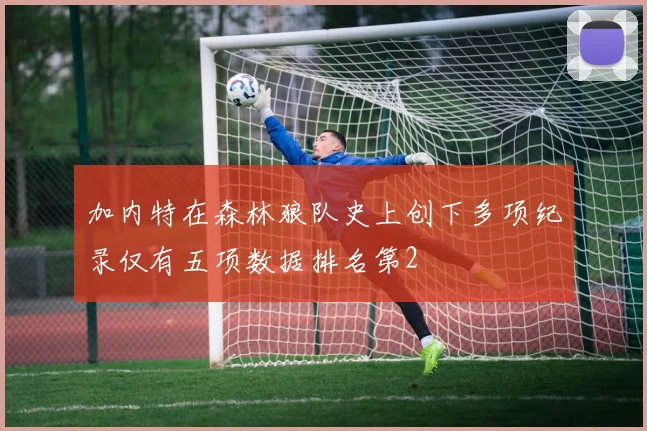 加内特在森林狼队史上创下多项纪录仅有五项数据排名第2